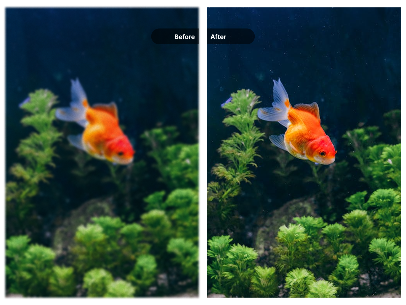 Before and after comparison showing multiple enhancement options