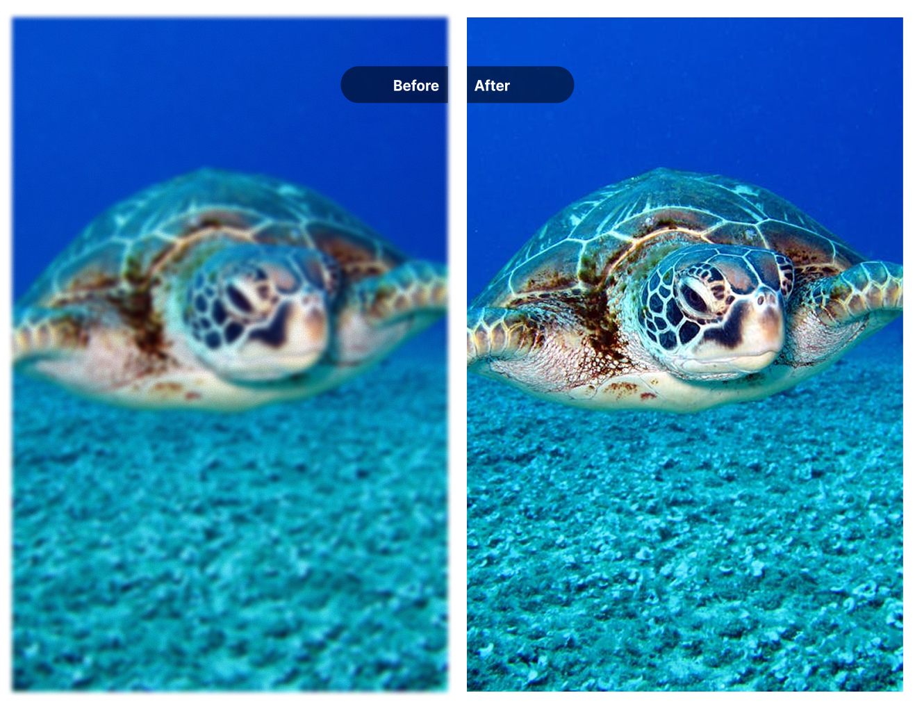 Before and after comparison of smartphone photo enhancement