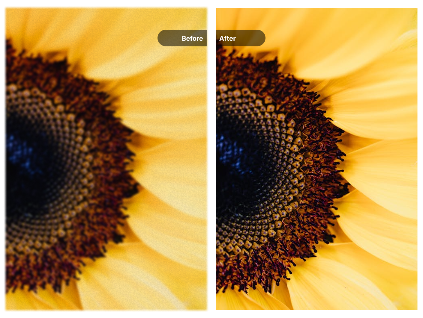 Before and after comparison of AI artwork enhancement