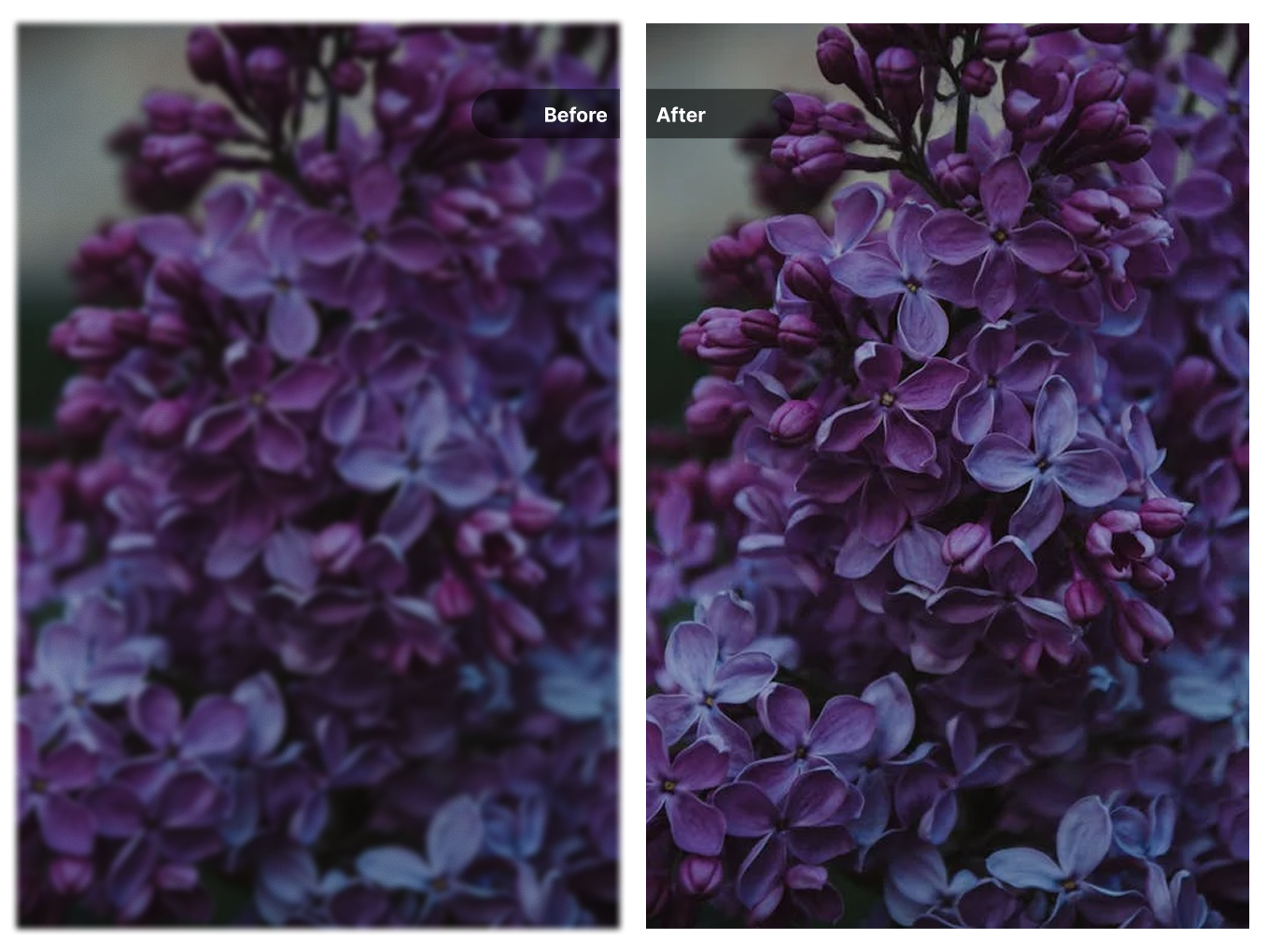 Before and after comparison of scanned document enhancement
