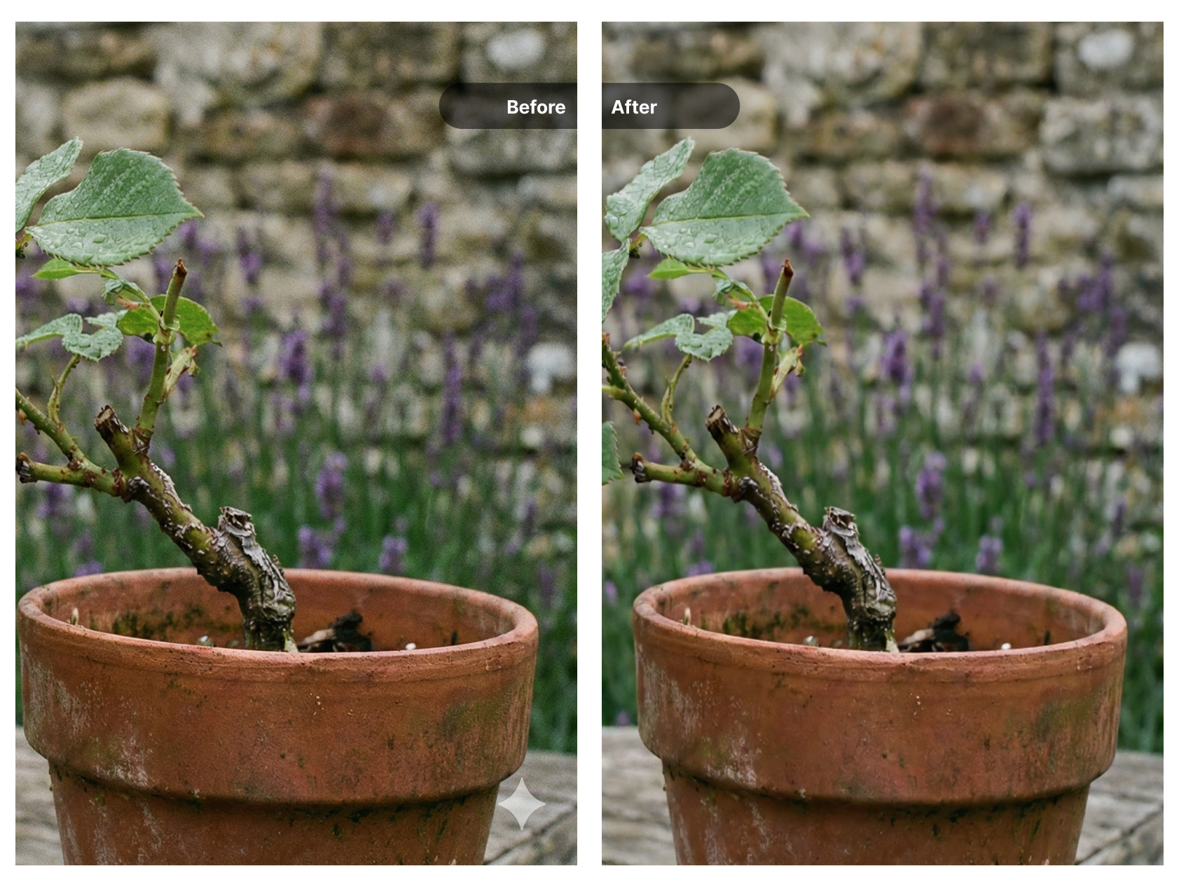 Before and after comparison showing multi-format watermark removal