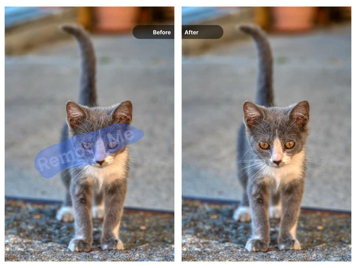 Sora watermark removal process demonstration